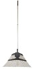 Plastic & steel rake