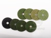 Polishing Pads