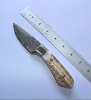 Popular Damascus Knife With Damascus Blade