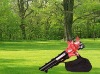 Popular Gasoline Leaf Blower Vacuum EBV360 31cc