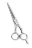 Professinal Hair Cutting Shears