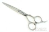 Professional 440C Japanese Stainless Steel Hairdresser Shears