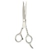 Professional Barber Hair Dressing Scissor