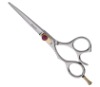 Professional Barber Razor Edge Scissors