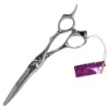 Professional Beauty Hair Cutting Scissors / Salon Scissors