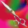 Professional Black Titanium Hair Shears