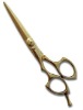 Professional Hair Cutting Shears