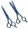 Professional Hair Cutting Shears