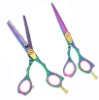 Professional Hair Cutting Shears