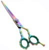 Professional Hair Cutting Shears