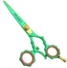 Professional Hair Cutting Shears