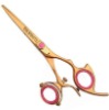 Professional Hair Cutting Shears