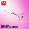 Professional Hair Scissors