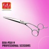 Professional Hair Scissors