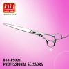 Professional Hair Scissors