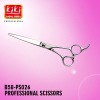 Professional Hair Scissors