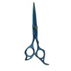 Professional Hair Shears