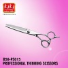 Professional Hair Thinning Scissors