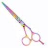 Professional Hairdresser Shears