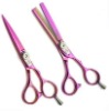 Professional Hairdresser Shears