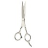 Professional Hairdressing Barber Supercut Scissors\Shears