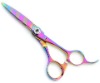 Professional Hairdressing Barber color Razor Scissors\Shears