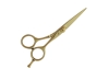 Professional Hairdressing Scissors