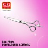 Professional Hairdressing Scissors