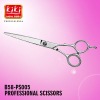 Professional Hairdressing Scissors.Hair Scissors