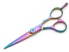 Professional Hairdressing Scissors at Amazing Price