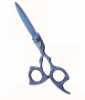 Professional Razor Edge Shear