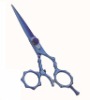Professional Razor Edge Shear