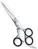 Professional Salon Scissors at Amazing Price