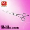 Professional Scissors.Hair Scissors