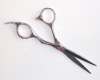 Professional hair scissors