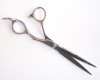 Professional hair scissors