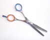 Professional hair scissors