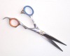 Professional hair scissors