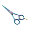 Professional salon use hair scissor