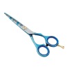 Professional salon use hair scissor