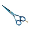 Professional salon use hair scissor