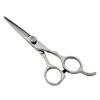 Professional salon use hair scissor