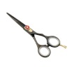 Professional salon use hair scissor