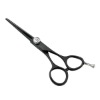 Professional salon use hair scissor