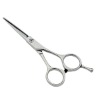 Professional salon use hair scissor