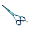 Professional salon use hair scissor