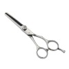 Professional salon use hair scissor