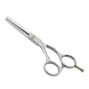 Professional salon use hair scissor