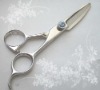 Professtional Hair Scissors