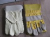 Protective warm Garden Glove / Working Glove